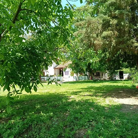 Salda Goelue Koca Kapi *