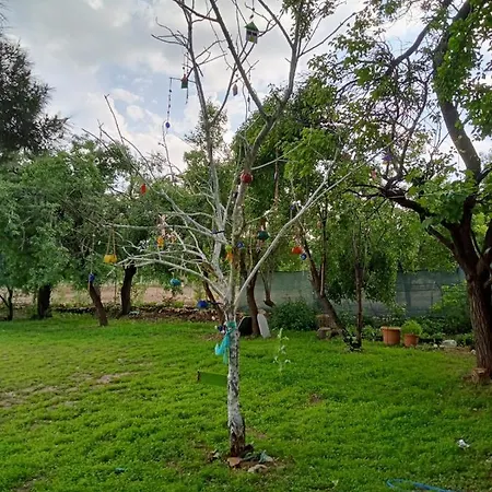 Salda Goelue Koca Kapi * Yesilova (Burdur)